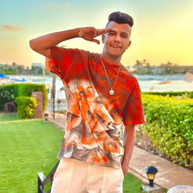 سنجلات